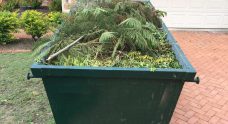 Skip Bins Brisbane